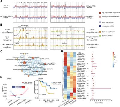 Oncogenic signaling pathway dysregulation landscape reveals the role of pathways at multiple omics levels in pan-cancer